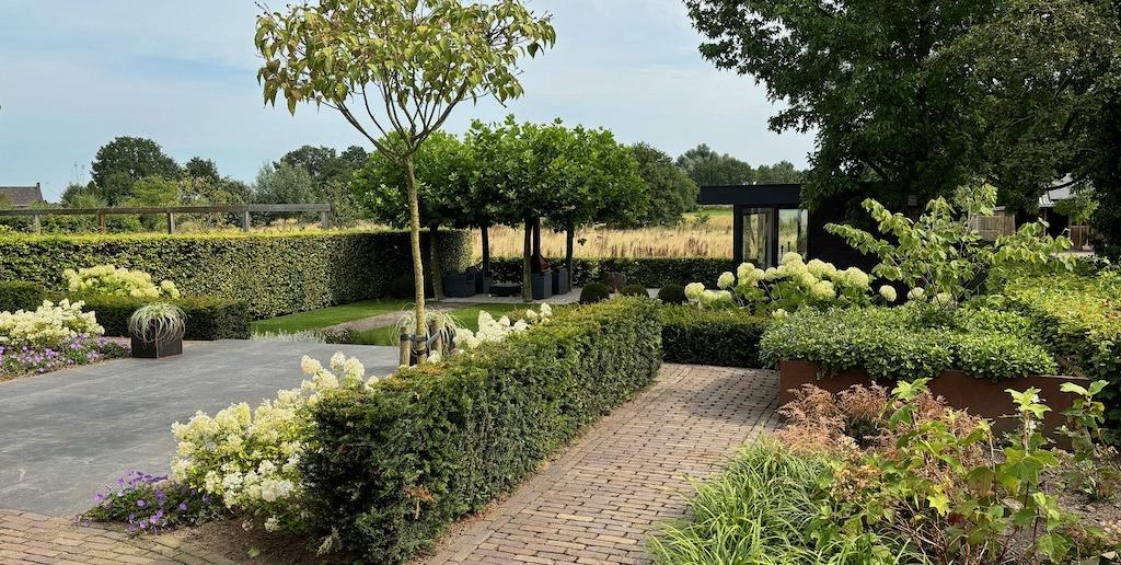 achtertuin(1)
