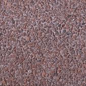 Bisschopsmuts GeoColor Excellent heide