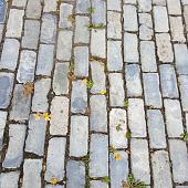 Scoria Bricks P+F