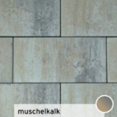 Futura 60x30x8 cm muschelkalk (mini-facet, met deklaag)