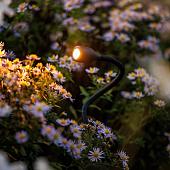 Lightpro Spots Xible