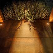 Lightpro Staande verlichting Oberon DL