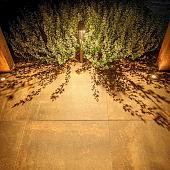 Lightpro Staande verlichting Oberon DL
