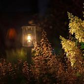 Lightpro Staande verlichting Eros Hi