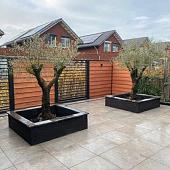 Robusto Ceramica 3.0 Lavis 60x60x3 Cm