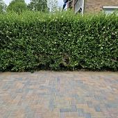 Betonstraatsteen 6 cm oud bussum (voorheen paars gv) komo