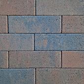Longstone opritsteen 7 cm oud emmen