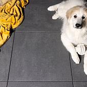 Trippel T 60x30x4 Zwart/Grijs gen