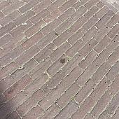 Oude gebakken dikformaten Rood Paars (op pallets)