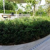 ACO Slimline gootelement + rooster aluminium 100 cm