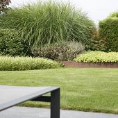 Borderpaneel flex corten 220x56