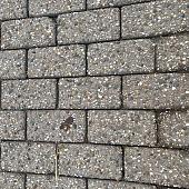 Gebruikte betonklinkers 21x10,5x7 cm op pallets