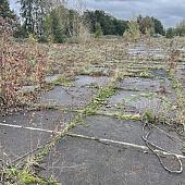 Gebruikte betonplaat 200x115x10 met hoeklijn B Keus