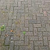 Gebruikte betonklinkers 21x10,5x8 cm Rood/Paars Doetinchem
