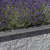 Rox splitsteen 29x9x8,9 cm antraciet