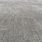 Gebruikte betonklinkers, 8 cm grijs/zwart, type Papendal Arnhem (op pallets)