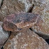 Grauwacke rots 60 t/m 80 cm losgestort