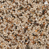 WS StoneBinder Sea Shell