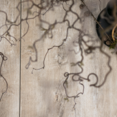 GeoCeramica® 120x30x4 Timber Tortera