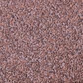 Bisschopsmuts GeoColor Excellent Engels rood