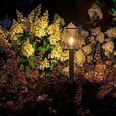 Lightpro Staande verlichting Eros Hi