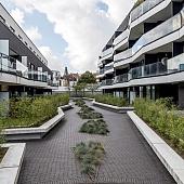WF80 Safino gebakken waalformaat zwart