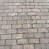 Oud gebakken platdikformaten Kwintsheul (op pallets)