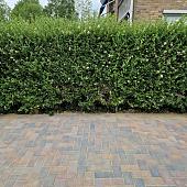 Betonstraatsteen 6 cm oud bussum (voorheen paars gv) komo