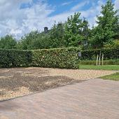 Antieke trommel waalformaat 7 cm oud bussum (voorheen paars gv)