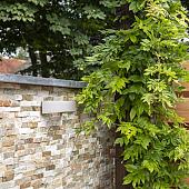 Fixwall giallo 5 laags 15x60x1,5-2,5cm