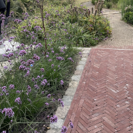 Oude gebakken Waalformaten Rood Bruin Drenthe (op pallets)