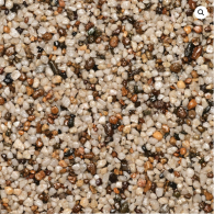 WS StoneBinder Sea Shell