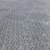 Wardenburger profielsteen 8 cm zwart (met facet en deklaag)