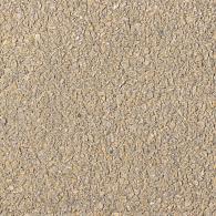 Bisschopsmuts GeoColor Excellent geel