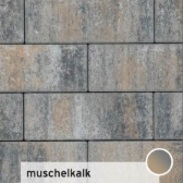 Vezano 30x15x8 cm muschelkalk (mini-facet, met deklaag)