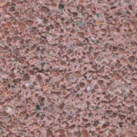 Bisschopsmuts GeoColor Classic heide