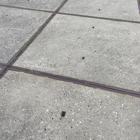 Gebruikte betonplaat 200x200x14 met hoeklijn B-keus