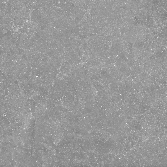 Pietra Belgio Grigio Chiaro 60x60x2 cm