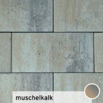 Futura 60x30x8 cm muschelkalk (mini-facet, met deklaag)