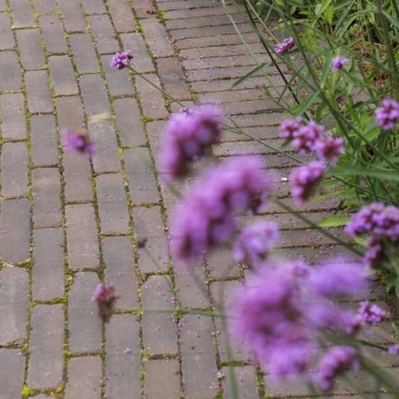 DF60 Iseo Antica gebakken dikformaat zwart-bruin