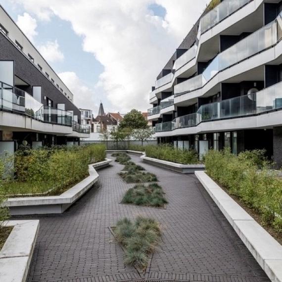 WF80 Safino gebakken waalformaat zwart