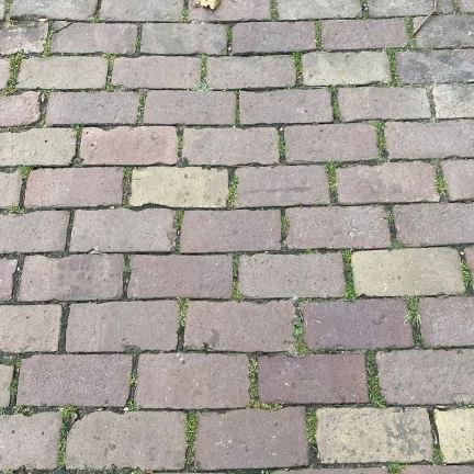 Oude gebakken platdikformaten Kwintsheul (op pallets)