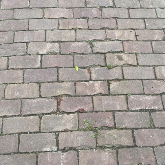 Oude gebakken platdikformaten Kwintsheul (op pallets)