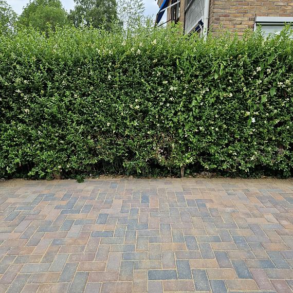 Betonstraatsteen 6 cm oud bussum (voorheen paars gv) komo