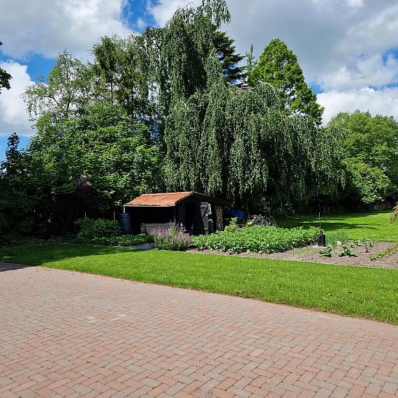 Antieke trommel betonstraatsteen 6 cm Groningerbruin