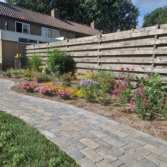 Antieke trommel betonstraatsteen 6 cm musselkalk