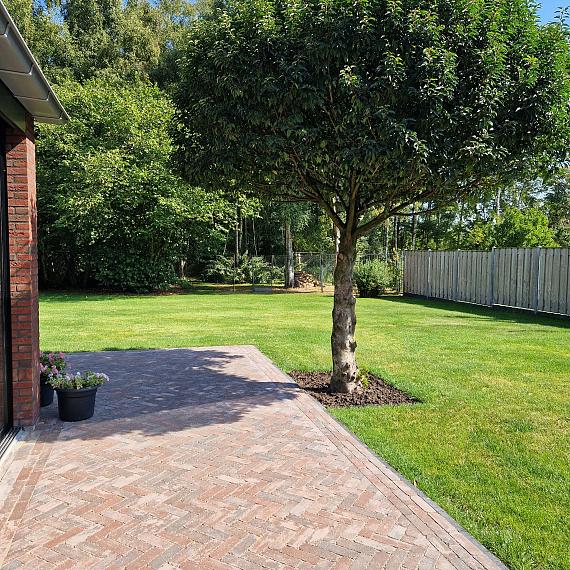 Antieke trommel dikformaat 6 cm oud emmen