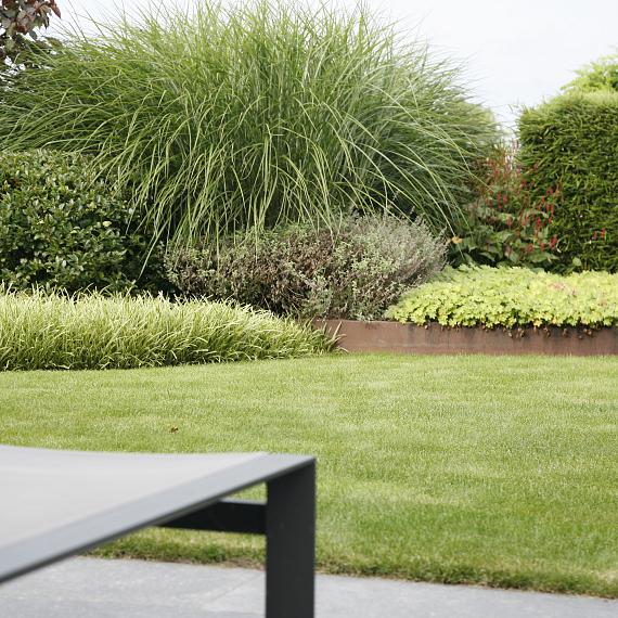 Borderpaneel flex corten 220x56
