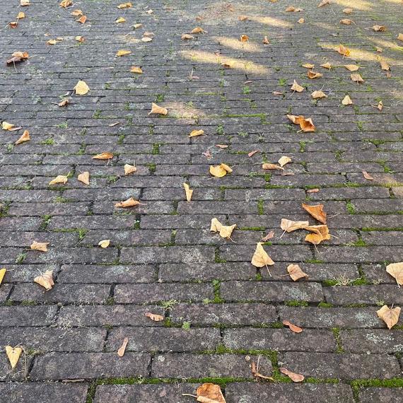 Oude gebakken Waalformaten Rood Paars (Op pallets)