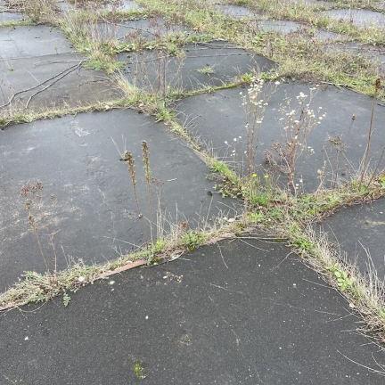 Gebruikte betonplaat 195x103x10 met hoeklijn B Keus